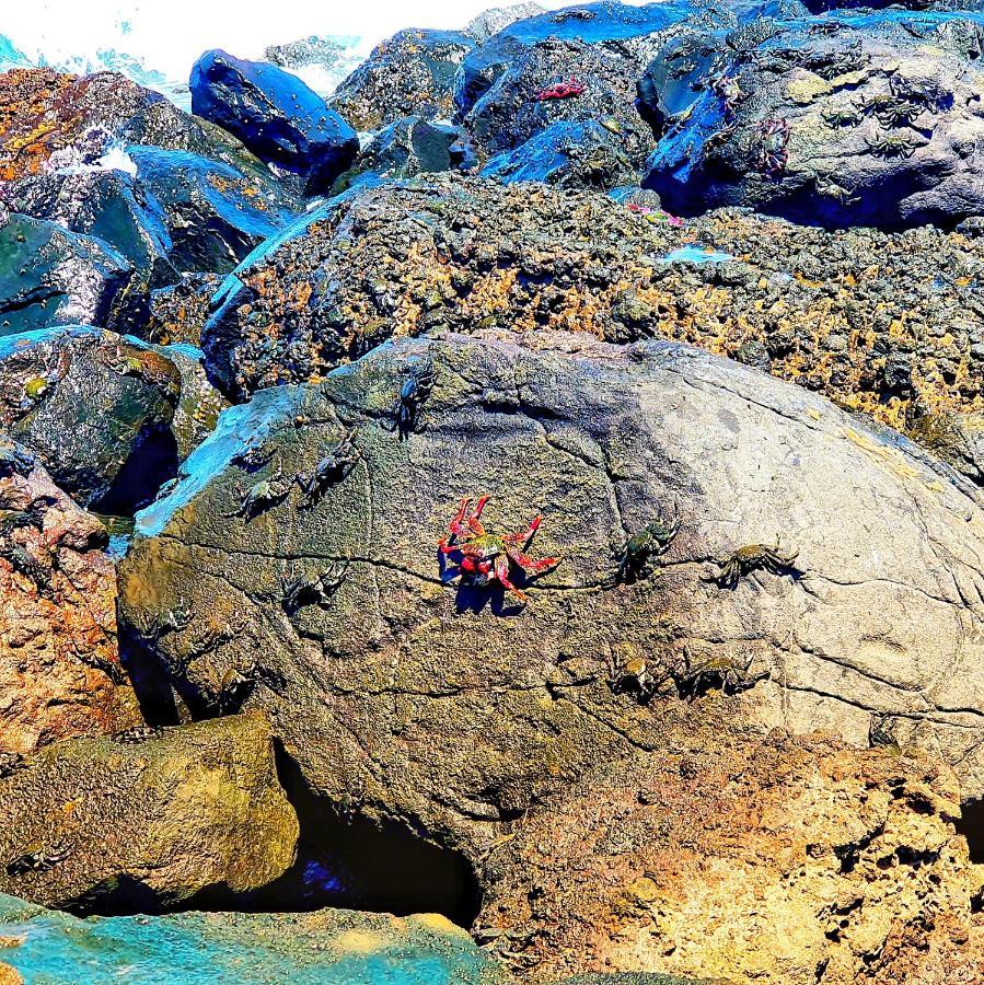 "The Red Crab Studio" By Bbhome At Gran Canaria Airport - Wifi 300 Mbps El Burrero Exterior photo